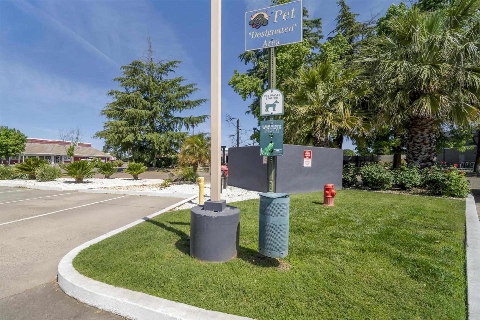 Best Western Antelope Inn & Suites Red Bluff Bagian luar foto